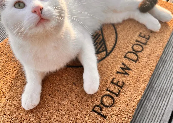 Pole W Dole بيت للعطل